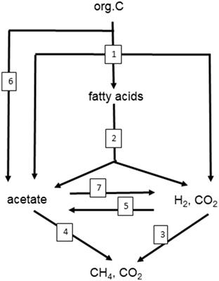 Complexity of temperature dependence in methanogenic microbial environments